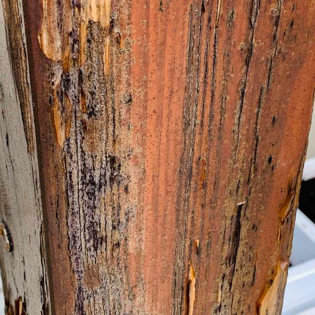 Fassadenanstrich bei einem Holzhaus