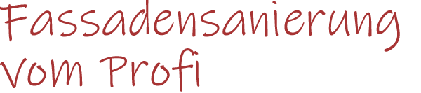 Schriftzug "Fassadensanierung vom Profi"